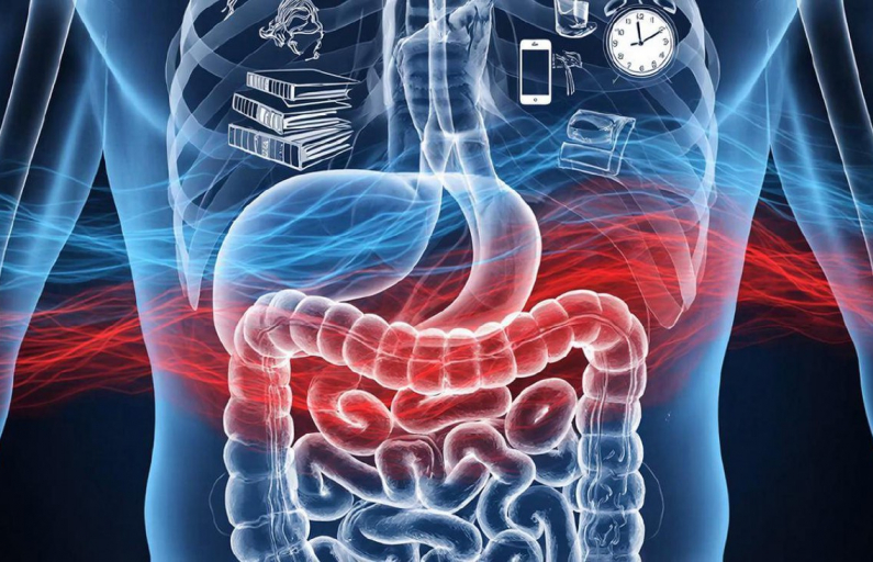 Фото предоставлено автором